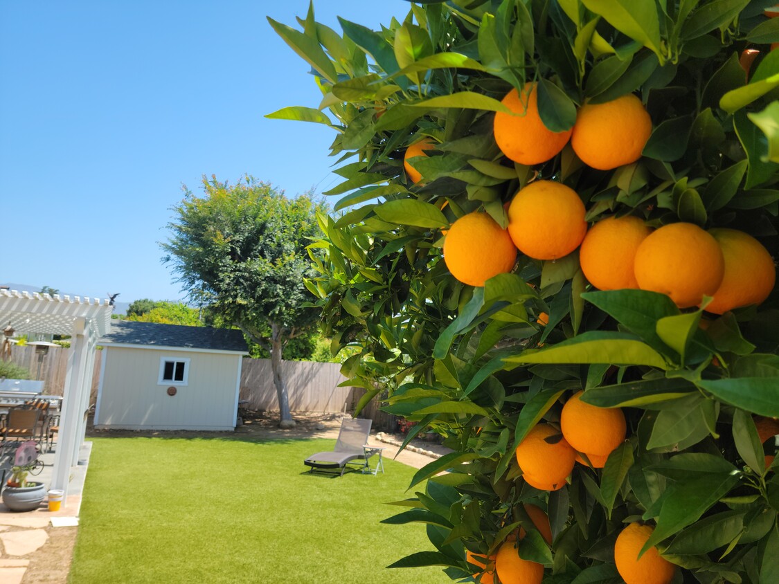 Pet Friendly Yard - 2230 S Rice Rd