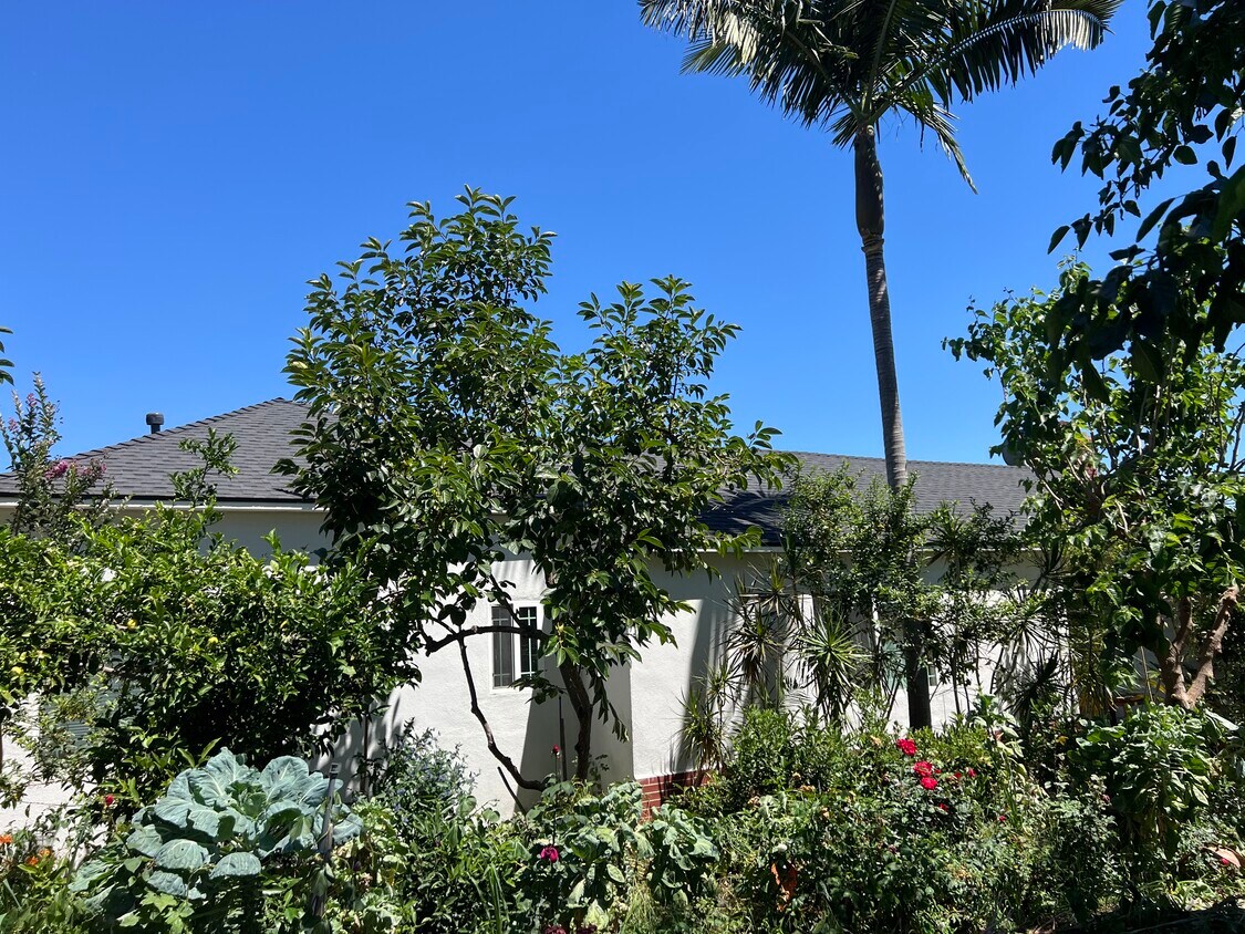Foto principal - 1520 Grandview Ave