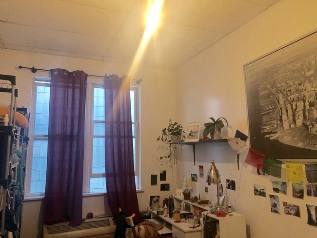 Building Photo - 26 Cook St