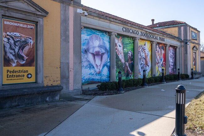 There are many amazing animals at the Brookfield Zoo in La Grange Park.