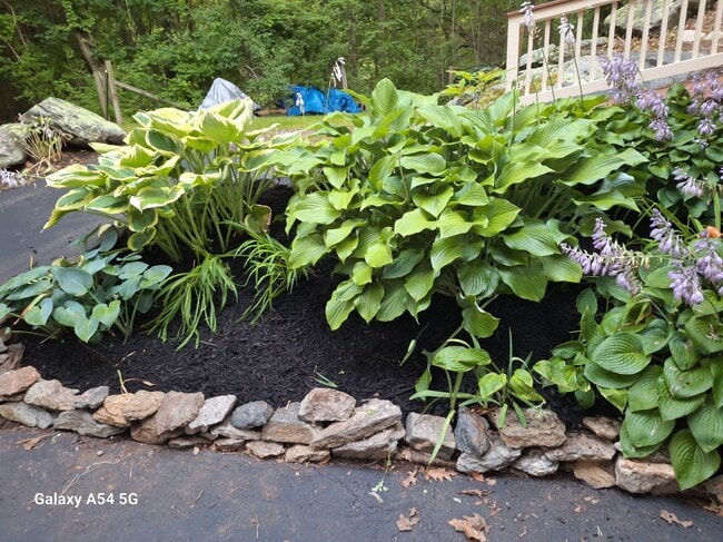 Photo - 753 Buddington Rd House