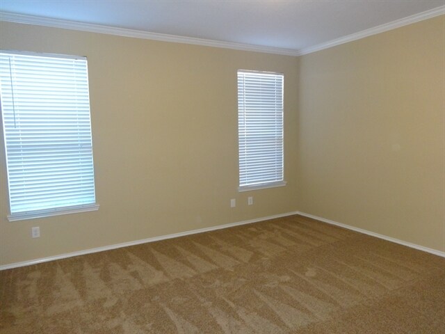 Building Photo - 1113 Skylark Drive