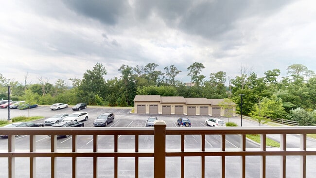 Interior Photo - Park Square