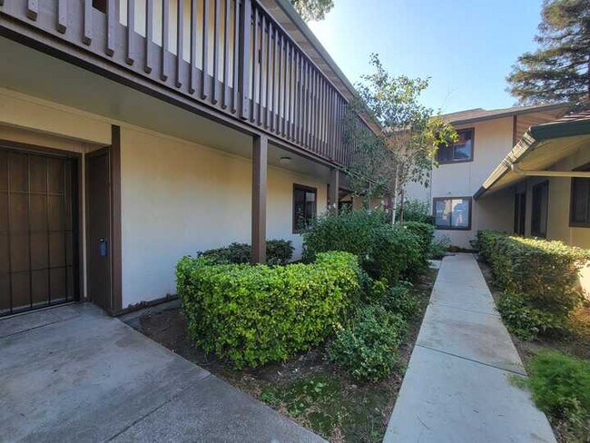 Building Photo - 2400 Starlight Ln