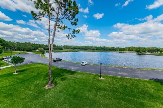 Photo - 36750 US Hwy 19 N Apartment