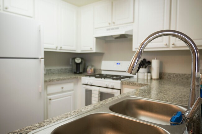 Building Photo - Arbor Pointe Apartments