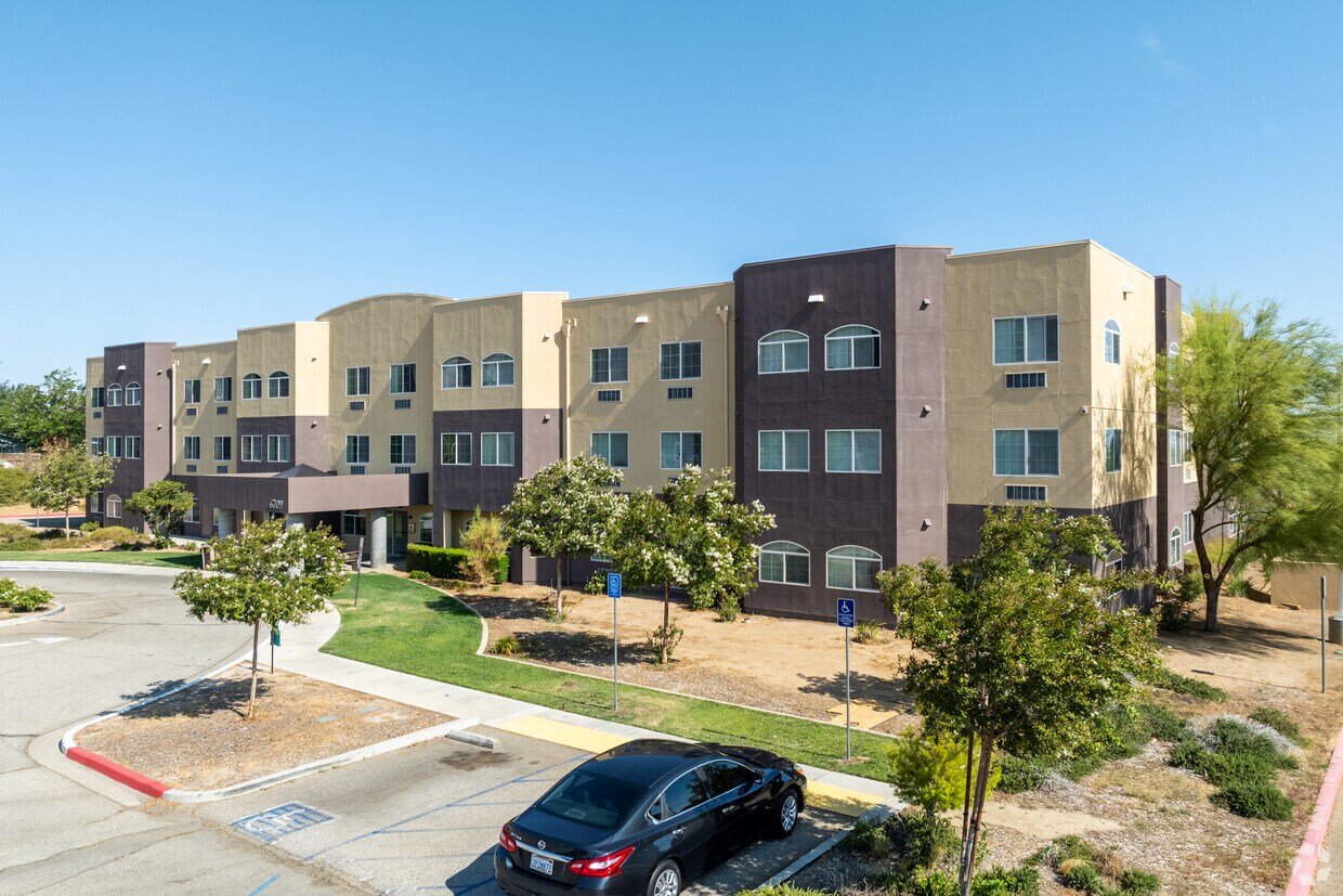 Primario - Harshfield Terrace