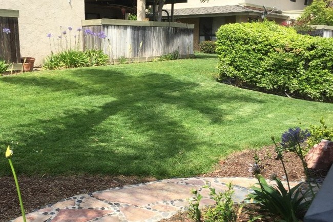 Front Area - 5955 Caminito Deporte