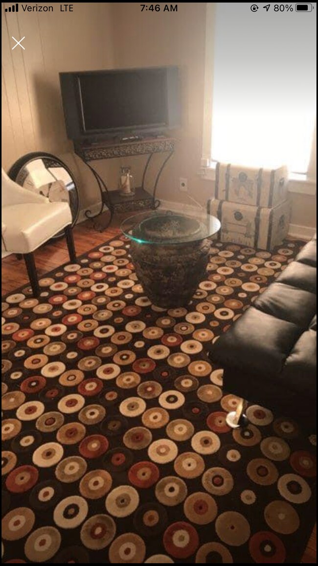 Living Room - 800 Shelby Ave