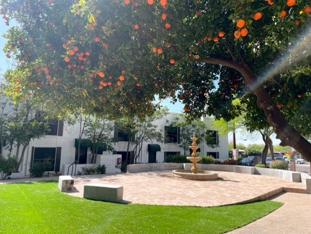 Building Photo - Bellevue Tower