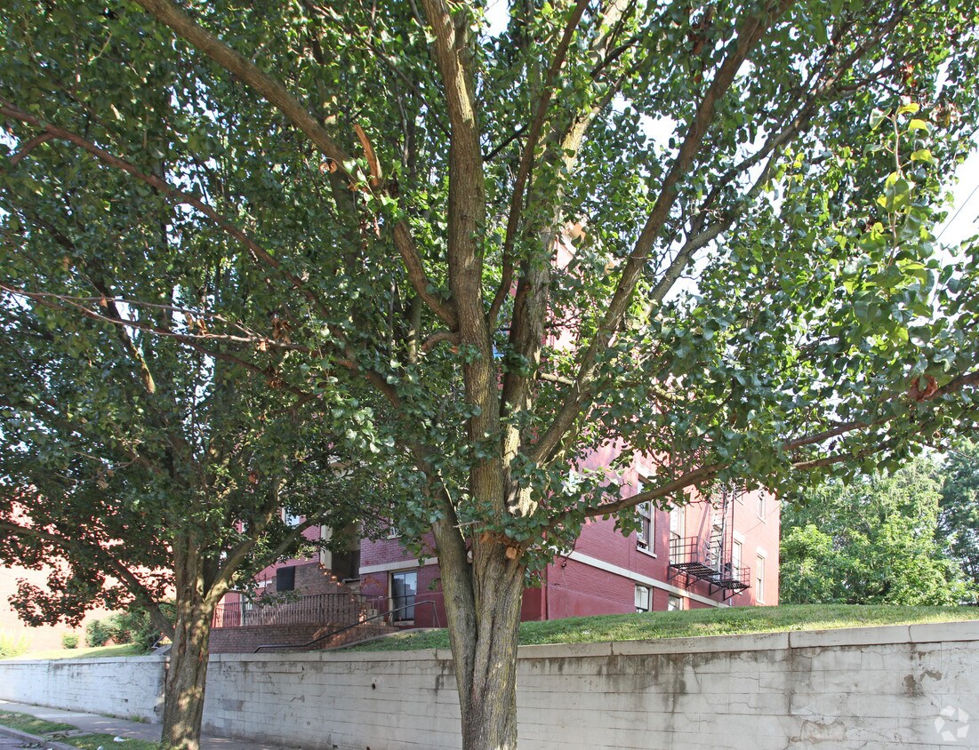 Primary Photo - 412-422 Emma St