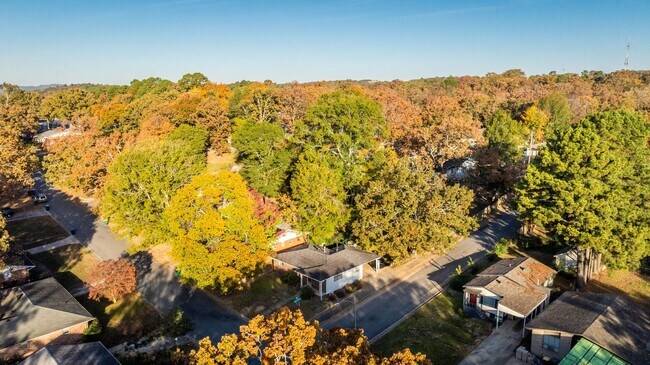 Foto del edificio - Midtown 3BR Near UAMS w/ Hardwoods, W/D, & Fenced Yard