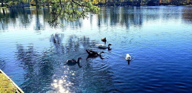 Photo - 13203 Holston Hills Dr House