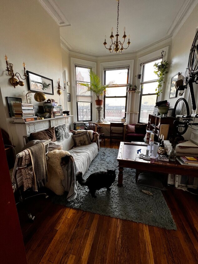 Building Photo - 242 Shawmut Ave