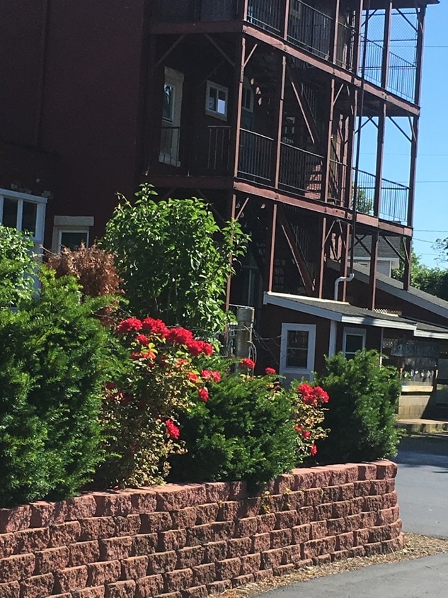 Primary Photo - Rose Apartments