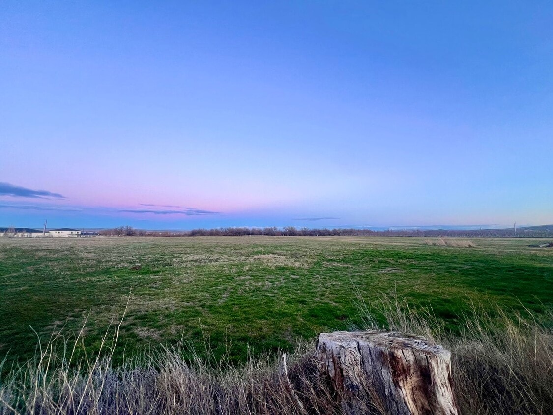 Building Photo - Charming 1-Bedroom Unit with Private Deck & Yard in Finley, WA