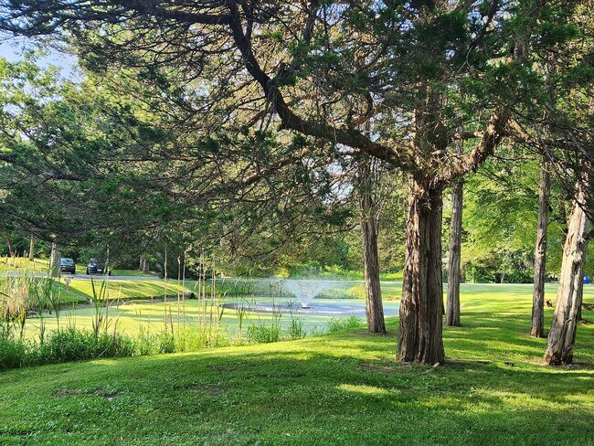 Foto del edificio - 51 Cove View Ln