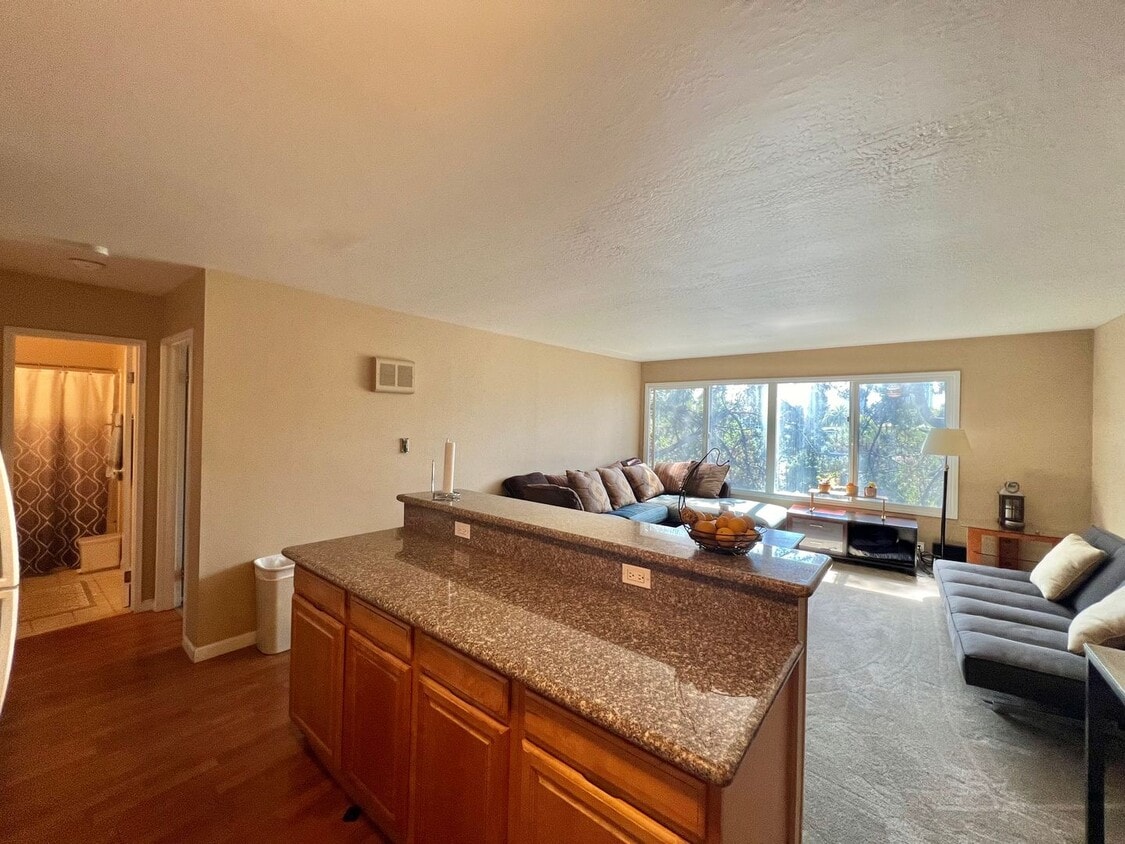 Primary Photo - Large 1 bed 1 bath Nestled in Grand Lake Neighborhood