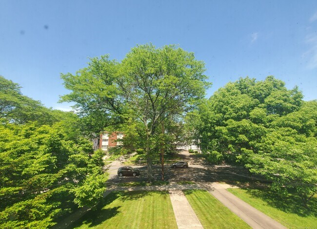 Foto del edificio - 561 Whitney Ave