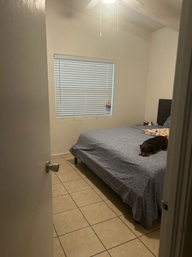 Foto del edificio - 2 bed 1 bath house near UF law available Jan 1st