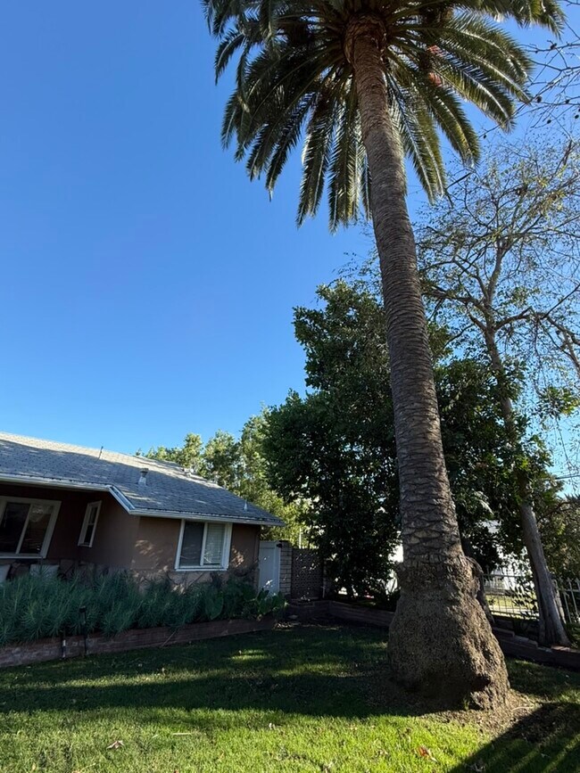 palmera - 5208 Woodman Ave