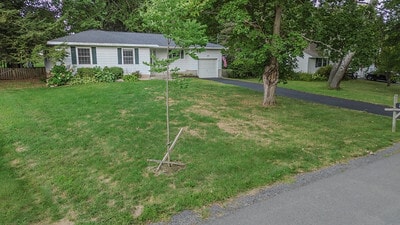 Building Photo - 105 Hounsfield St
