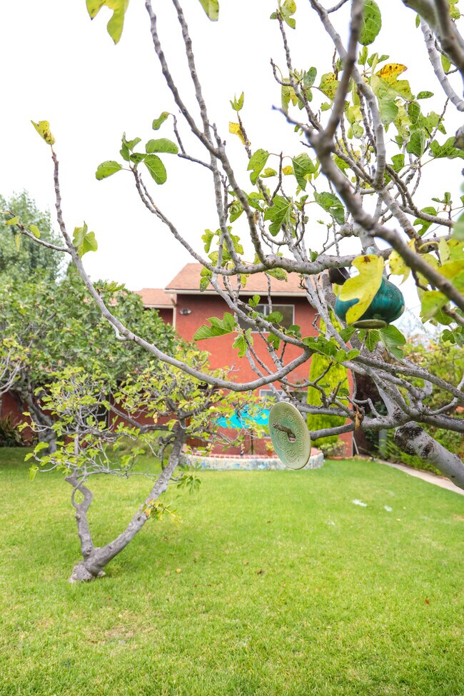 fig garden - 2731 Angus St