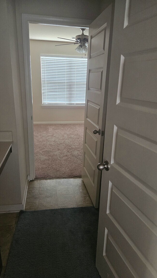 Foto del edificio - 257 Misty Grove Dr