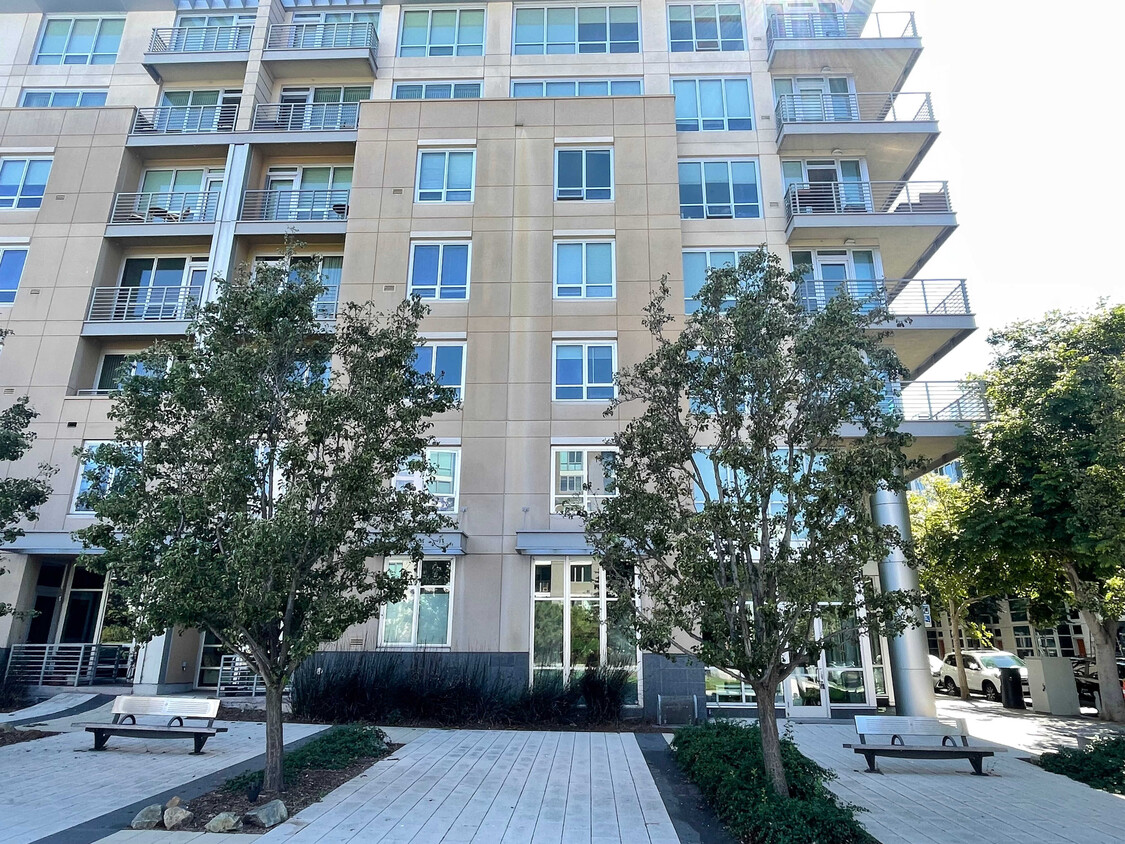 Primary Photo - 325 Berry St