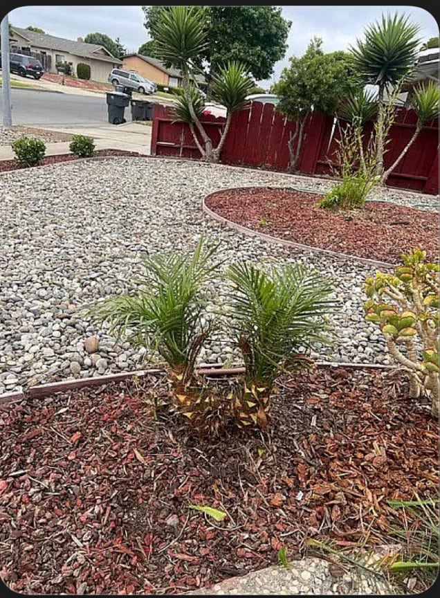 Building Photo - 808 Colton Dr