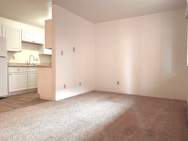 View of apartment walking in - 209 1st Ave N