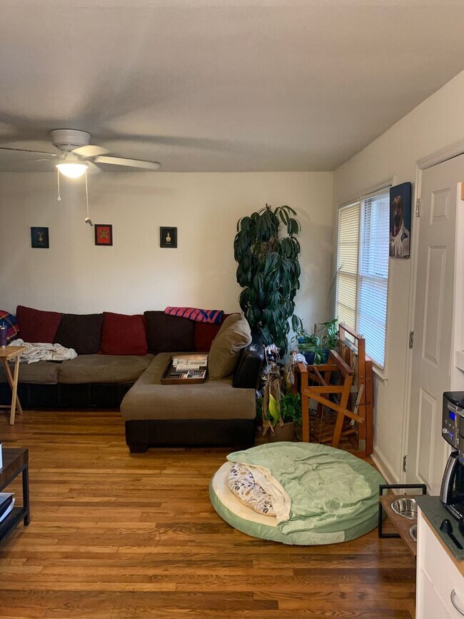 Building Photo - 417-427 Morton Ave