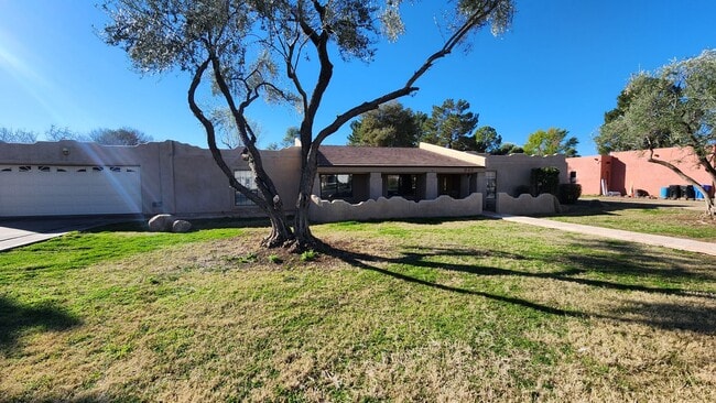 Building Photo - Remarkable horse property with HUGE yard!