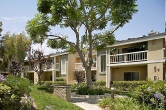 Aliso Creek Apartments Aliso Viejo Aliso Creek Apartments Aliso Viejo