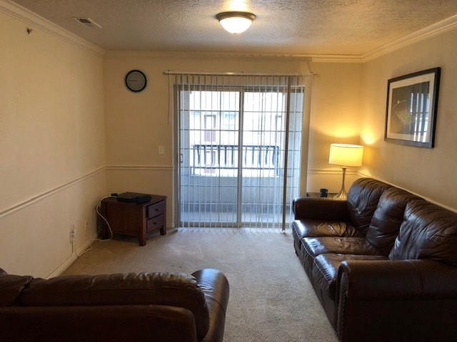 Molduras de coronas y sillas - 567 N University Ave