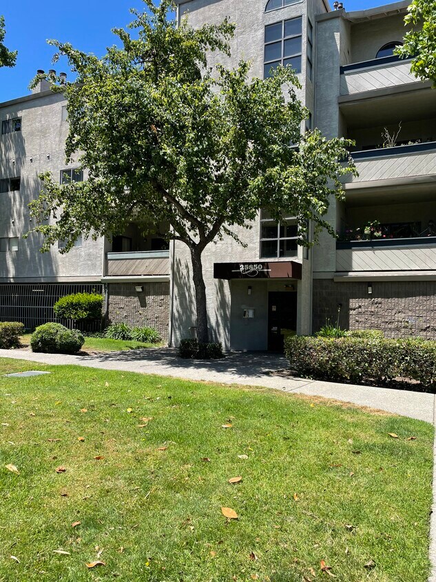 25850 Kay Ave Unit 329, Hayward, CA 94545 Condo for Rent in Hayward