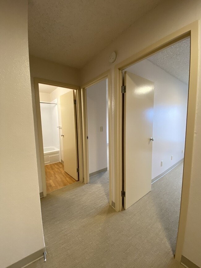 06 Classic | Entry - Olympic Park Apartments