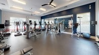 This fitness center is designed to support a comprehensive workout experience within a single, open-plan space. The room is defined by its tray ceiling with crown molding, ceiling fans with integrated lighting, and durable rubber flooring suited for high-impact use. A striking navy blue accent wall anchors the space visually, complemented by light grey walls and bright white trim throughout.

Natural light enters through multiple windows fitted with horizontal blinds, contributing to a well-lit and energizing environment. A large floor-to-ceiling mirror along one wall visually expands the space and provides functional feedback during exercise.

The cardio zone is well-stocked with treadmills, elliptical trainers, and stationary cycling bikes, including a dedicated spin bike. Strength training is supported by a cable machine, a multi-station weight apparatus, and a variety of resistance benches. A freestanding dumbbell rack holds a full range of hand weights, while exercise balls in multiple sizes add flexibility training options. The overall layout is organized and spacious, allowing comfortable movement between equipment zones.