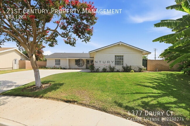Building Photo - 4377 Drury Ct
