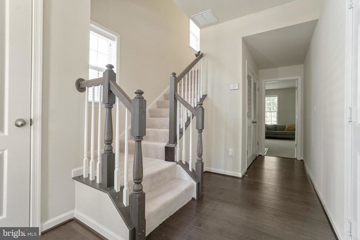 Foto principal - 5019 Forest Pines Dr