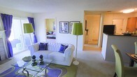 This single-floor space showcases a lively and thoughtfully styled interior that combines comfort with bold design choices. The living area serves as the central hub, anchored by a tufted white Chesterfield sofa adorned with rich royal blue throw pillows, lending an elegant yet playful contrast to the neutral carpeted flooring. A striking green floor lamp adds a pop of color and provides warm ambient lighting, complementing the vivid purple curtains framing the window. A glass-top coffee table with decorative spherical accents sits atop a green and purple area rug, adding layers of texture and visual interest to the room. Framed artwork on the walls contributes a curated, personalized touch to the space. An open sightline leads directly into a bedroom, visible through a doorway, where similarly vibrant décor continues the color scheme. A hallway extends toward what appears to be the unit's entry door, flanked by additional storage or cabinetry. A flat-screen television is partially visible, suggesting a media area nearby. The textured ceiling and neutral walls provide a clean backdrop that allows the bold furnishings and accessories to take center stage throughout the space.