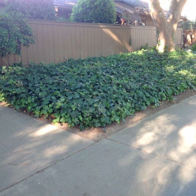Building Photo - House For Rent in Modesto