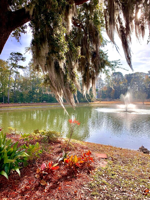 Foto del edificio - 1463 Amanda Park Ln