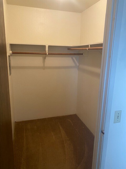 Building Photo - 3057 Zanetta Dr