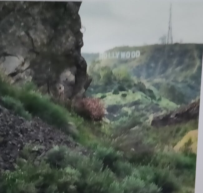 Can see mountains and H Sign from Patio - 135 N Swall Dr