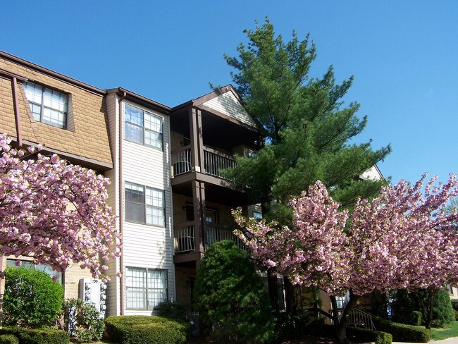 Foto del edificio - Woodbridge Center Plaza