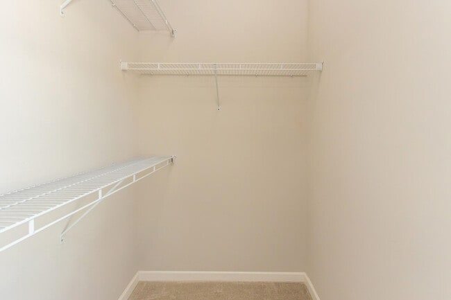 Building Photo - Nexus At Sandhill