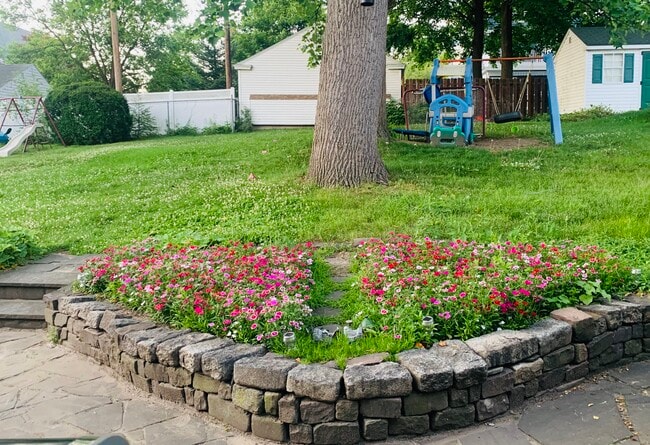 Backyard - 1009 Sunset St