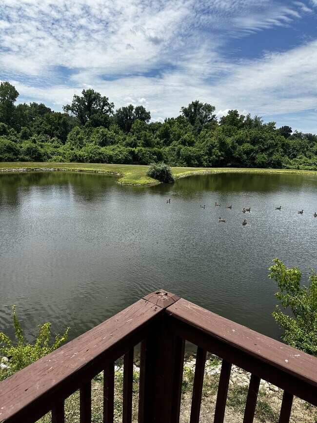 Foto del edificio - 3720 Candlewyck Club Dr