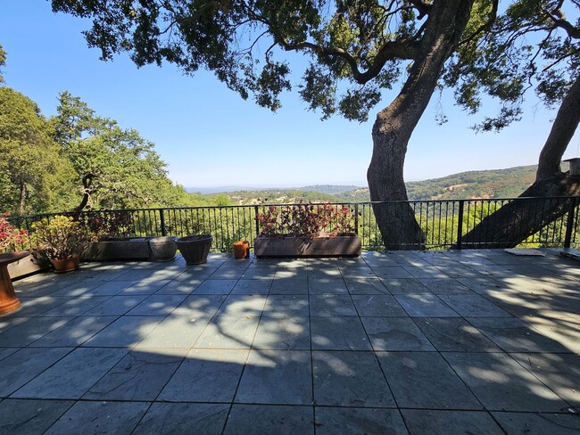 Building Photo - Luxurious 4 Bedroom Home in Portola Valley...